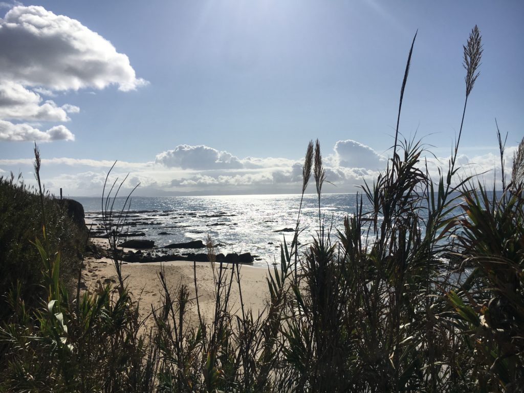 Yoga Retreat Andalusien